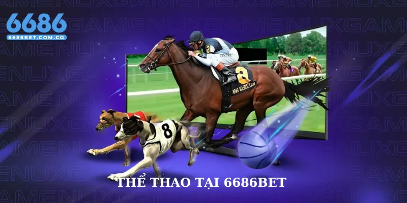 cá cược thể thao tại 6686bet